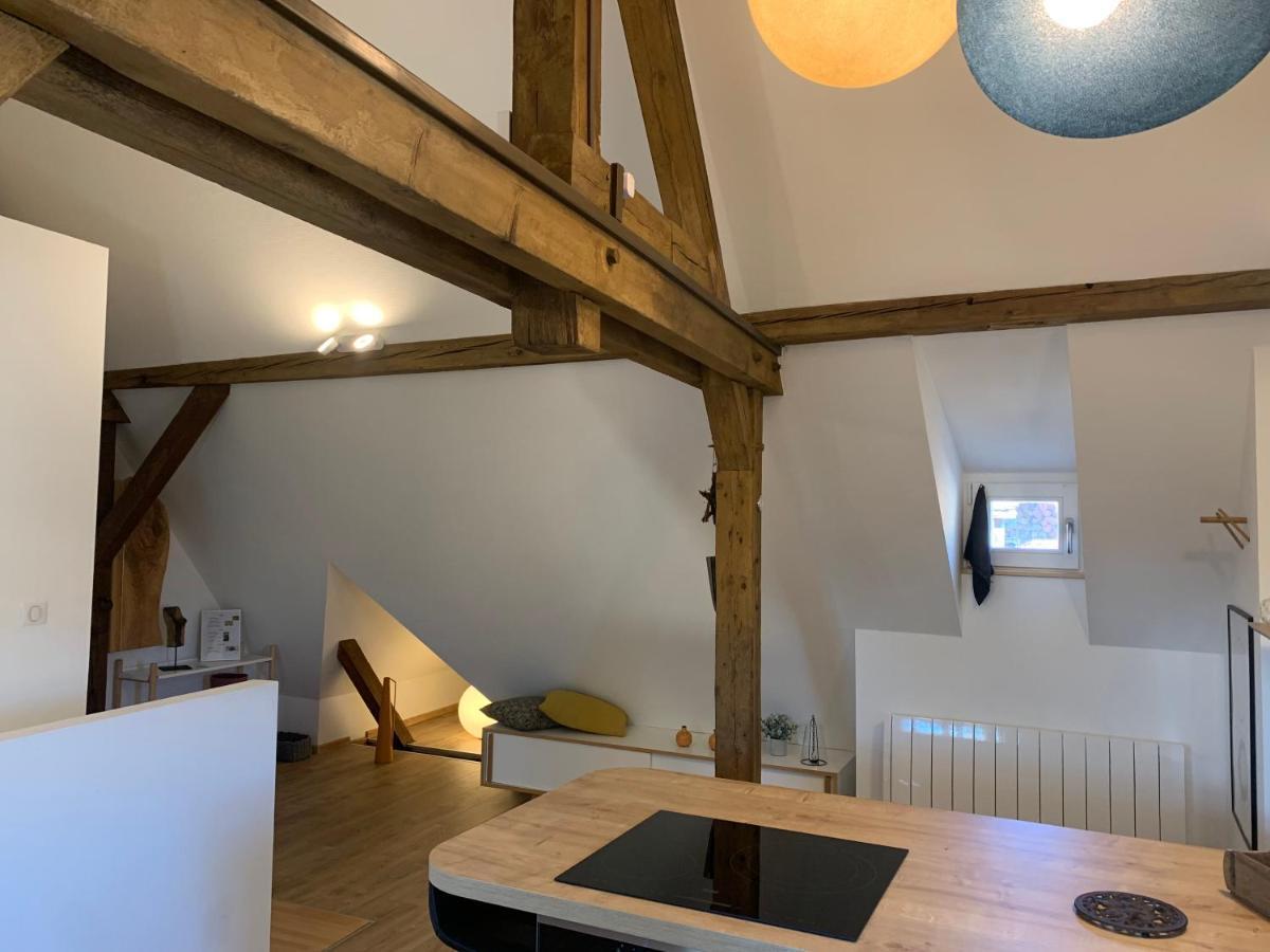 Le Loft Apartment Colmar Ngoại thất bức ảnh