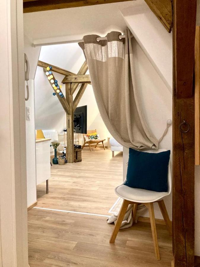 Le Loft Apartment Colmar Ngoại thất bức ảnh