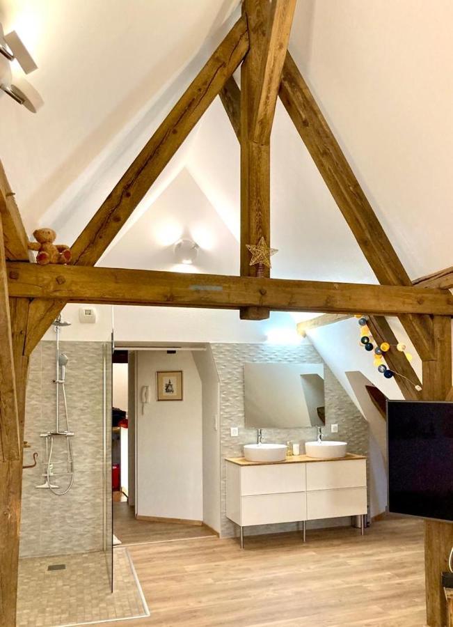Le Loft Apartment Colmar Ngoại thất bức ảnh