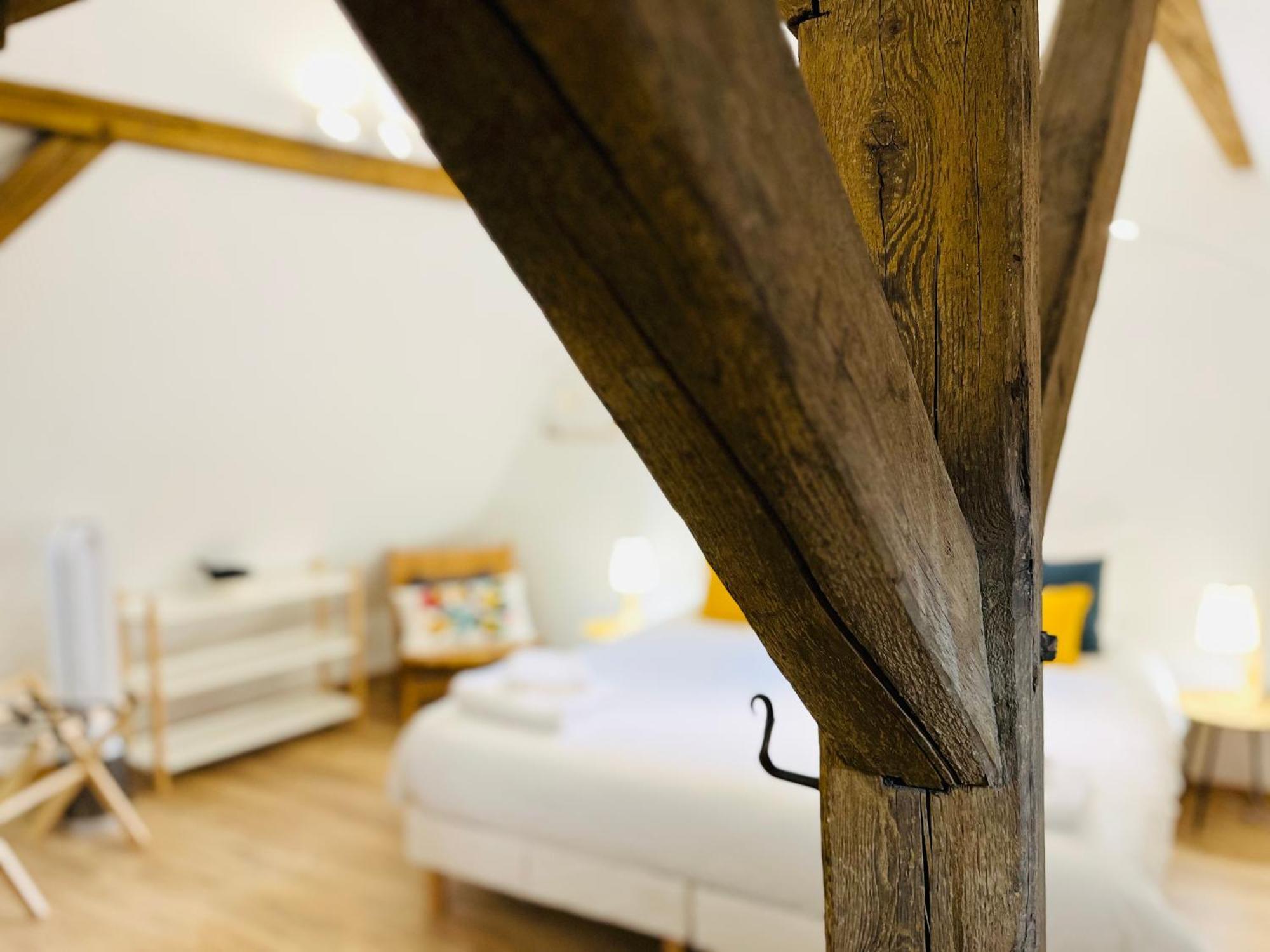 Le Loft Apartment Colmar Ngoại thất bức ảnh