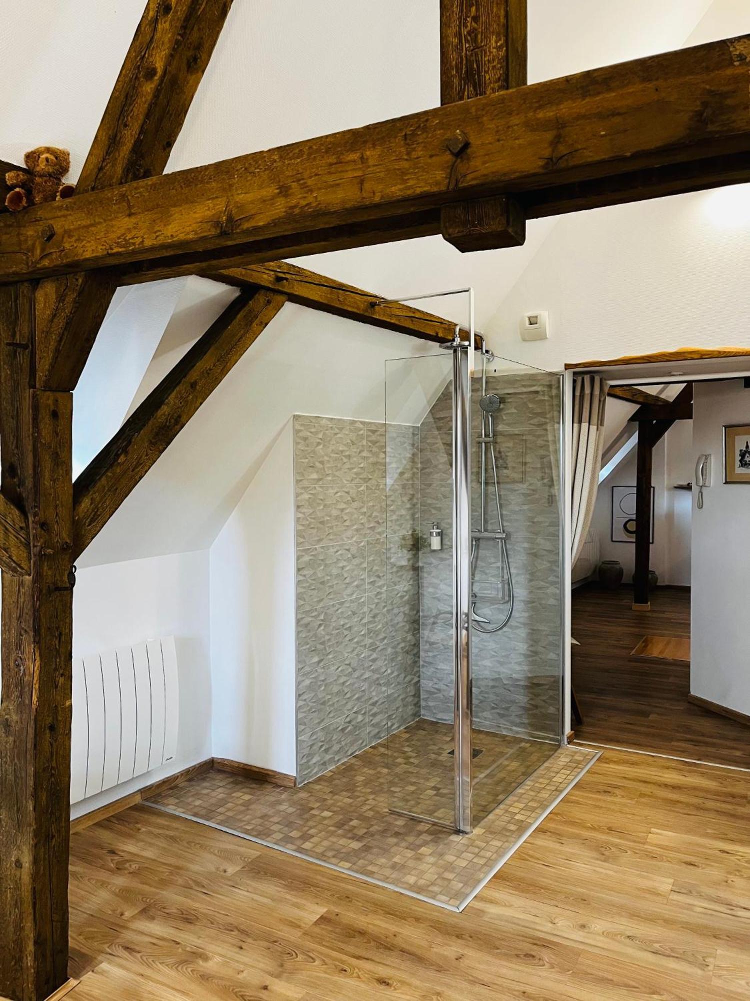 Le Loft Apartment Colmar Ngoại thất bức ảnh